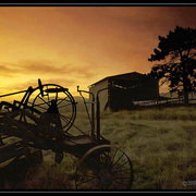 Old_farm_sunset_card