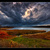 20081115-bike-path-latham-d2046-edi720framedcolorplusgorman_tiny_square