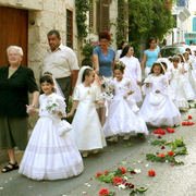 Festa_card