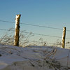 424747-1-winter-concept_thumb