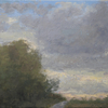 Landskaps-studie_2