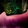 Electric_forest_thumb