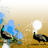 Peacock_background_thumb