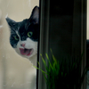 Img_4384_thumb