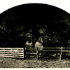 Night_gate_11w72_rgb_thumb