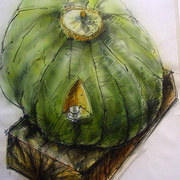 Img_0040_card