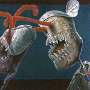Crop0017_card