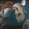 Crop0017_thumb