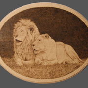 Lions7_card