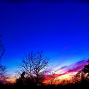 Colornight3_card