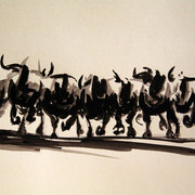 Img_2622copia_card