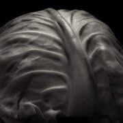 Cabbage_card