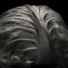 Cabbage_thumb