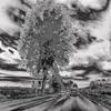 Kubetana_black_and_white_thumb