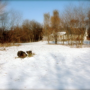 Camp11_card