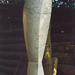 Apollonianmemorysmall_square