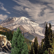 1054-snow_mountain_hideout_card