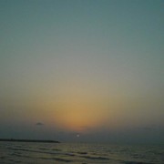 Dsc00049_card