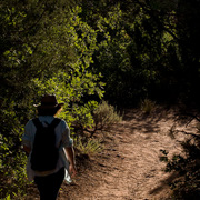 _mg_6227_card