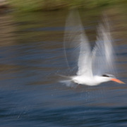Img_0559_card