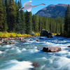 1055-swany_river_thumb