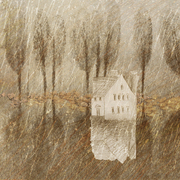 Voda_dark_derevia-2_card