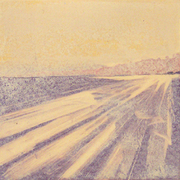 Wheatensky72_card
