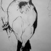 Bird_2_thumb