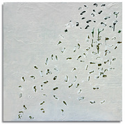 Whitefall__card