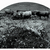 Five_bovines__square__11h72_rgb_tiny_square