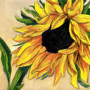 Sunflower_2_card