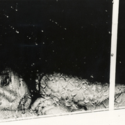 Windowsill_card