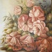 Rosas_breves_square
