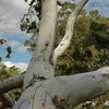 Dsc_9274_thumb