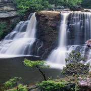 1059-jaguar_waterfalls_card