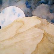 Wilddesertnightsized_card