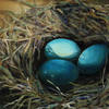 Nest_eggs_thumb