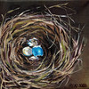 Empty_nest_thumb