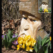 First_cutsnoah1_card