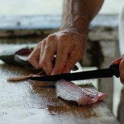 Fish_cleaning_card
