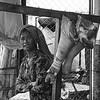 Marktfrau_mit_schweinehaxn_-_kopie__2__thumb