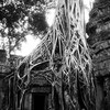 Ta_phrom_tempel_-_kopie_-_kopie_thumb