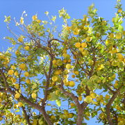 Img_1495_card