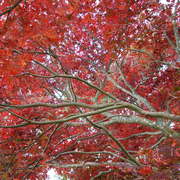Img_1210_card