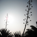 La_light_square