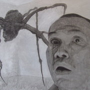 Lbspider_card