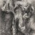 Dunkzei13a_tiny_square