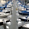 Row_boats_thumb