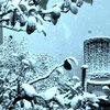 Neve_023_thumb