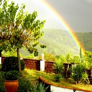 My_garden_after_a_thunderstorm_card
